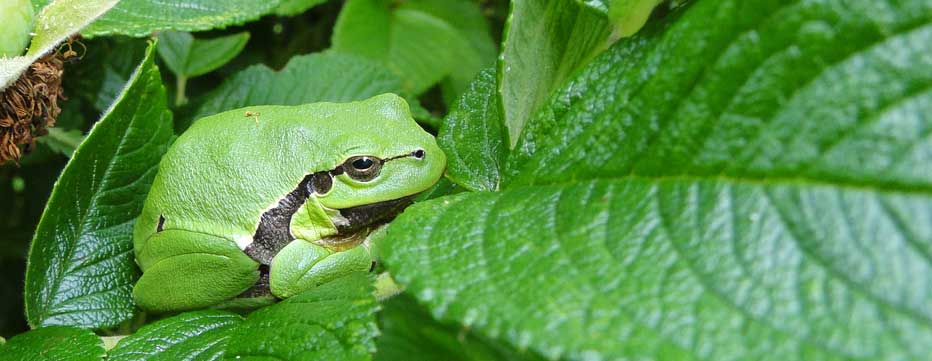 Chance.natur – das Projekt